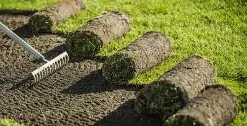 how to lay sod DIY